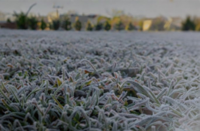 Ola de frio diurna