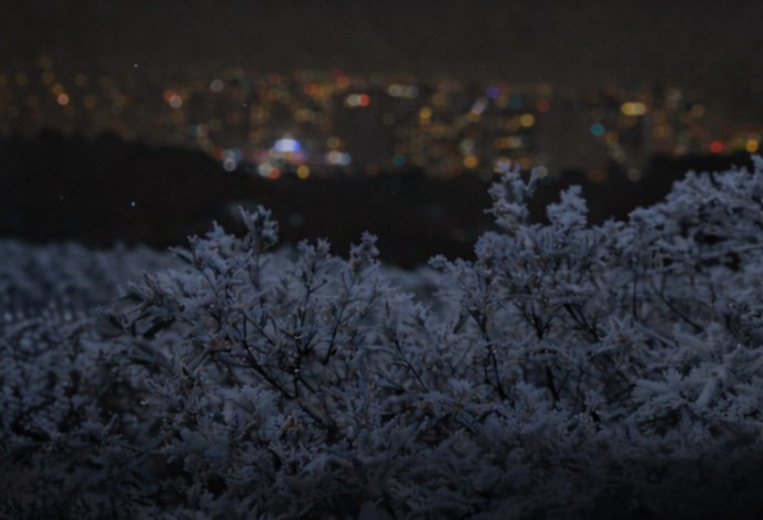 Ola de frio nocturna